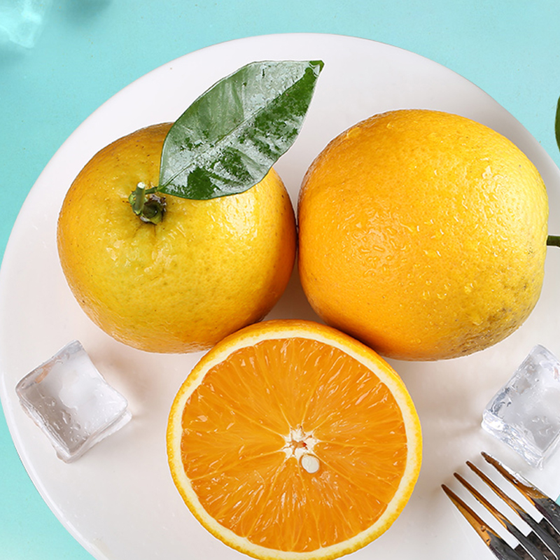 秭归夏橙 净果9斤装 橙现摘当季新鲜非伦晚甜橙